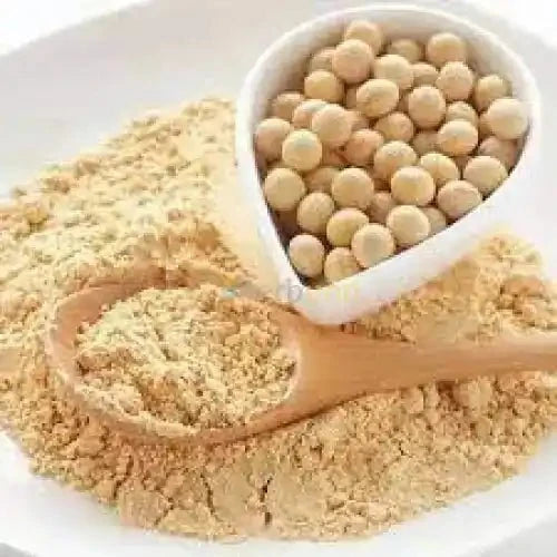 Soya Bean Extract Powder - High Protein - Bulk Supplier India