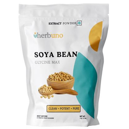 Soya Bean Extract Powder - High Protein - Bulk Supplier India
