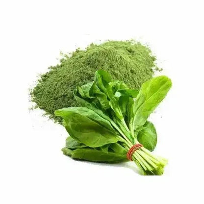 Spinach Powder - Nutrient - Rich  - Bulk Supplier India  - shop_name