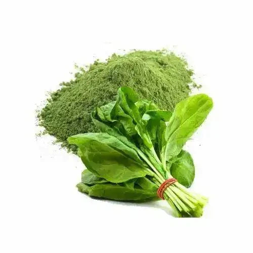 Spinach Powder - Nutrient - Rich  - Bulk Supplier India  - shop_name