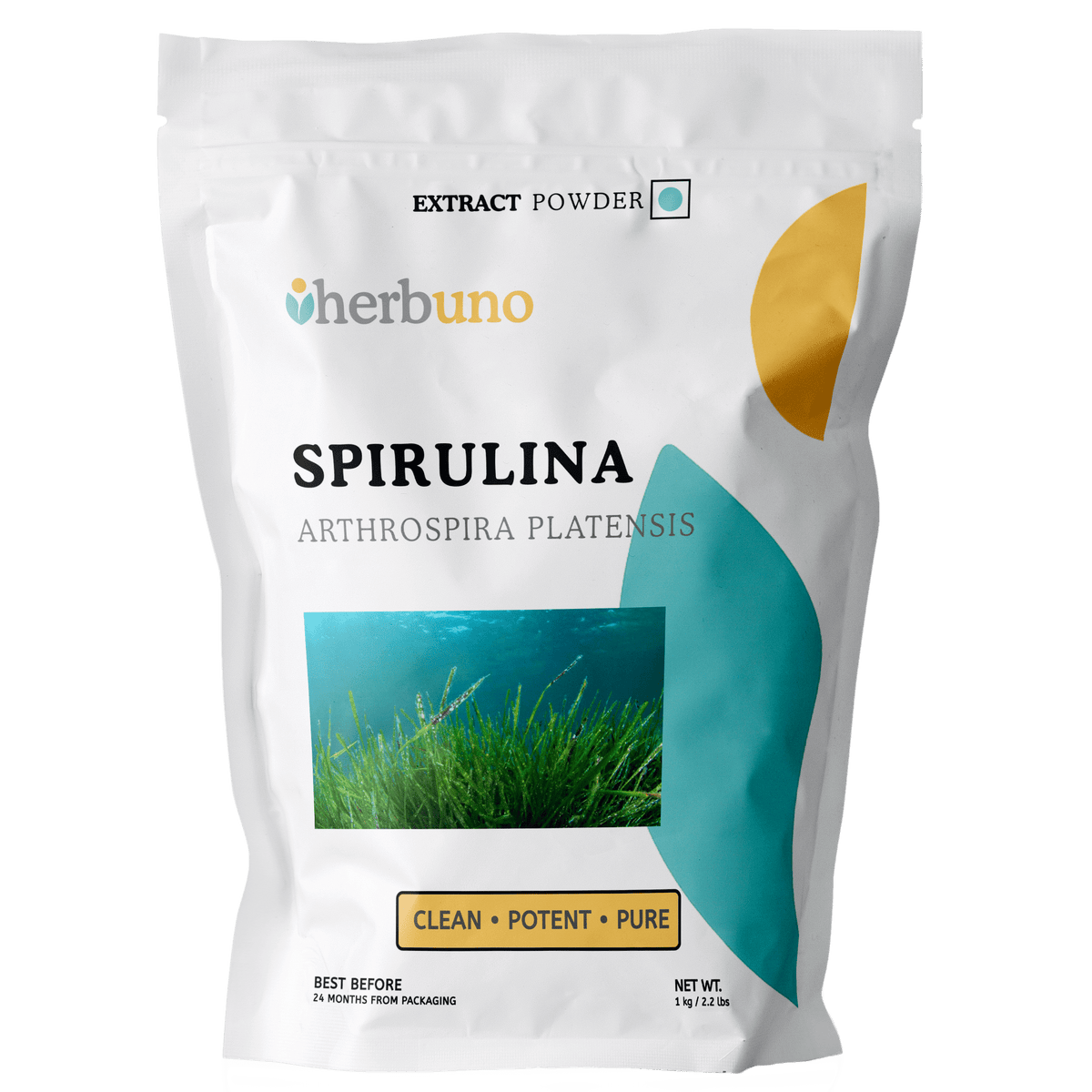 Spirulina Platensis Extract Powder - Nutrient-Rich - Bulk Supplier India
