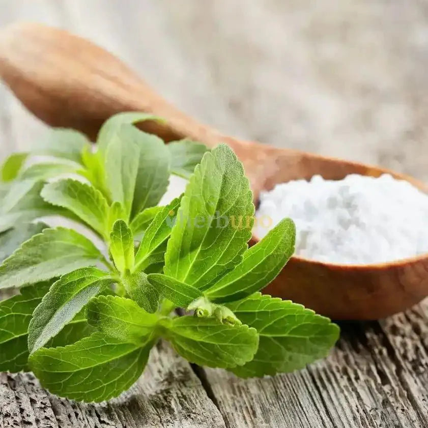 Pure Stevia Leaf Extract Powder (Ultra - Concentrated)  - Bulk Supplier India  - shop_name