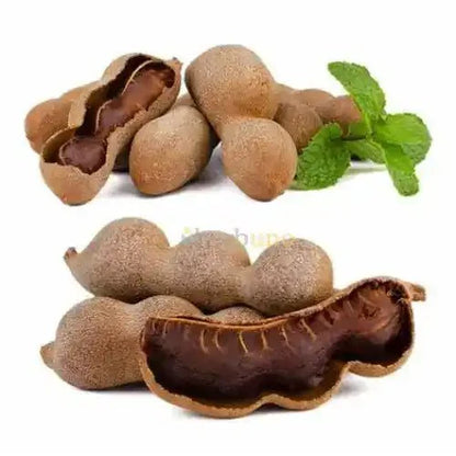 Tamarind Powder - Tangy Flavor Enhancer  - Bulk Supplier India  - shop_name