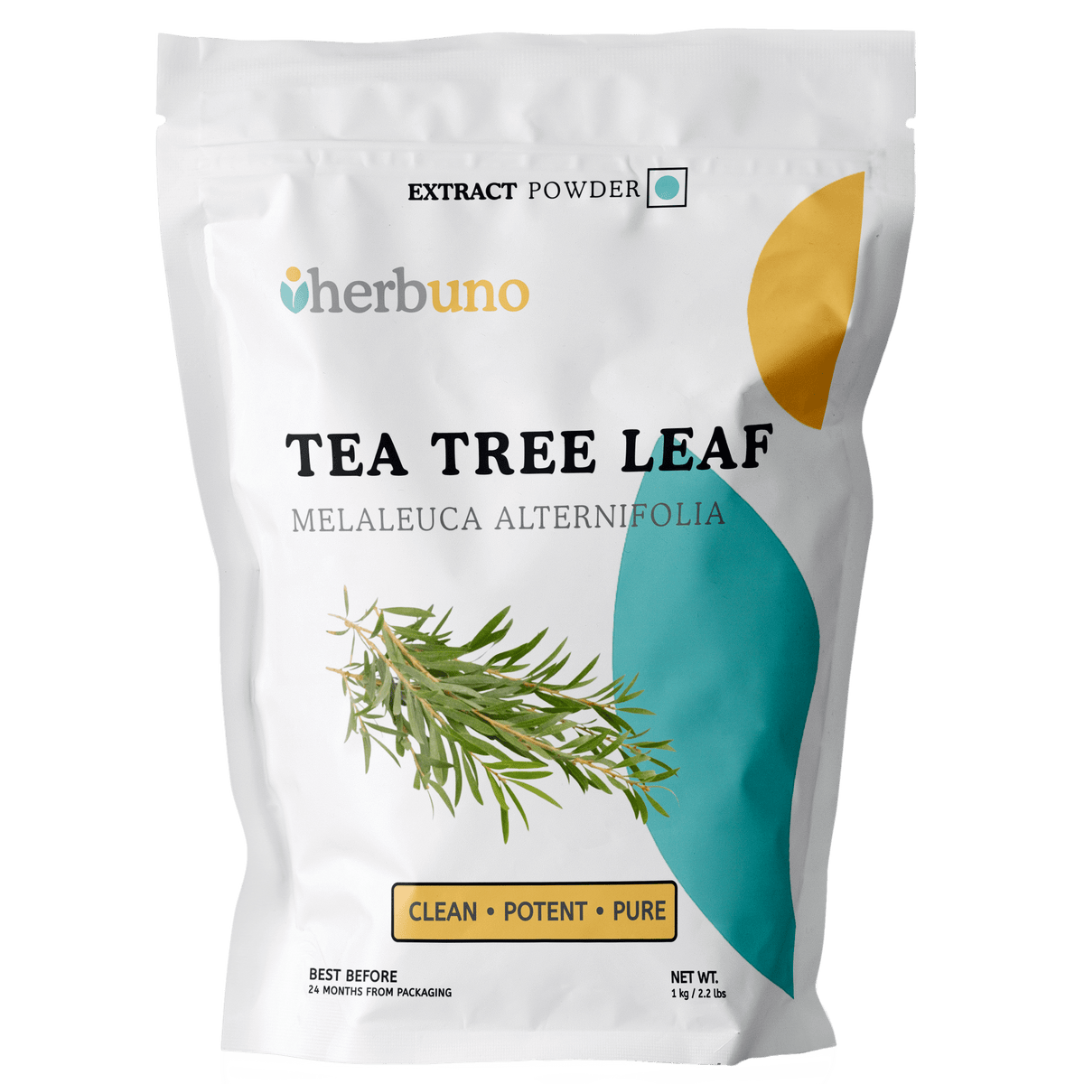 Tea Tree Extract Powder - Melaleuca alternifolia - Bulk Supplier India