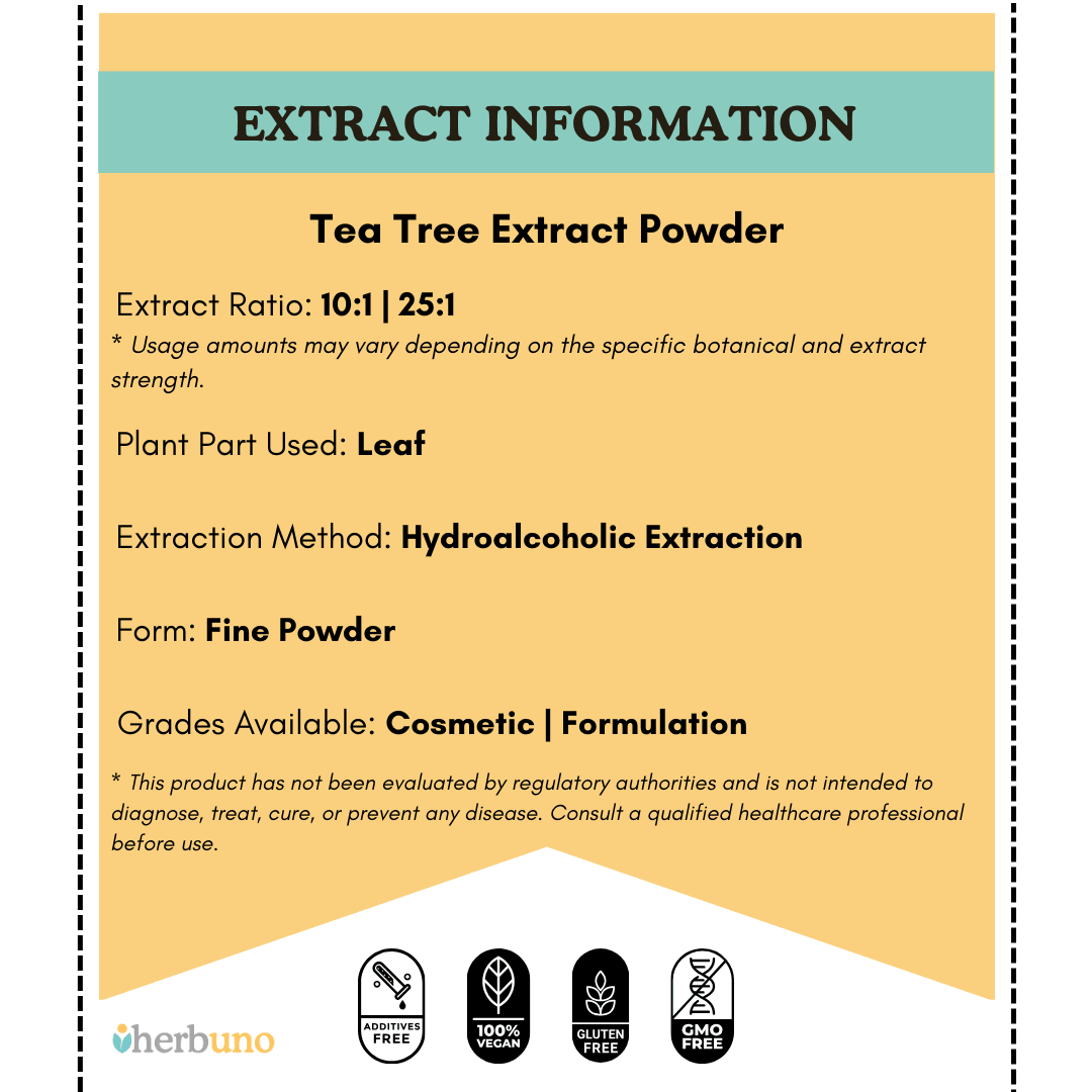 Tea Tree Extract Powder - Melaleuca alternifolia - Bulk Supplier India
