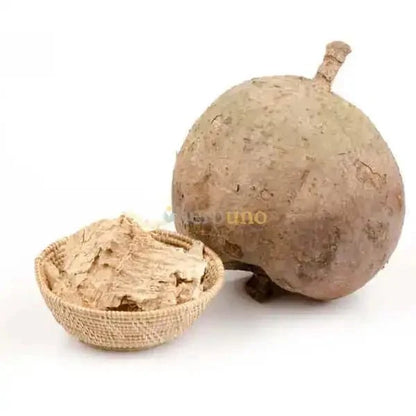 Thai Kudzu (Pueraria Mirifica) Extract Powder| White Kwao Krua Powder - Bulk Supplier India