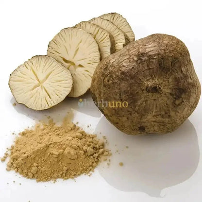 Thai Kudzu (Pueraria Mirifica) Extract Powder| White Kwao Krua Powder - Bulk Supplier India