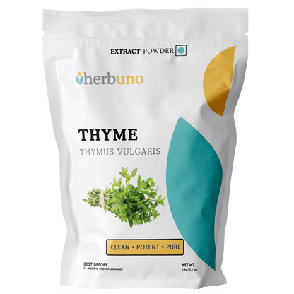 Thyme Extract Powder - Bulk Supplier India