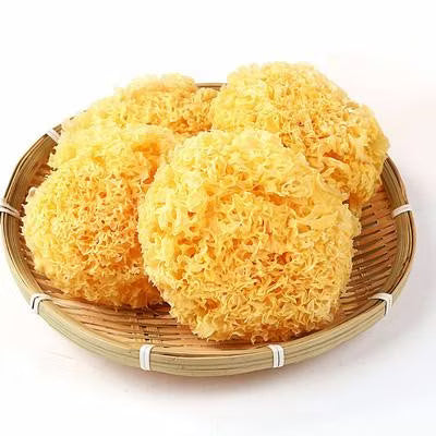 Tremella Mushroom Extract Powder - Tremella fuciformis - Bulk Supplier India