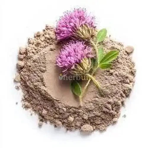 Trifolium Pratense (Red Clover) Extract Powder - Bulk Supplier India