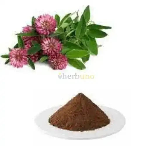 Trifolium Pratense (Red Clover) Extract Powder - Bulk Supplier India