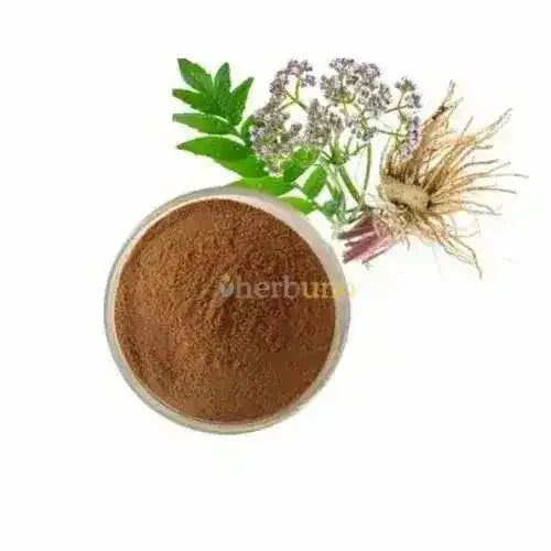 Valerian Root Extract Powder | Tagara - Bulk Supplier India