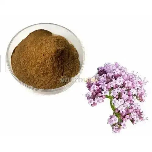 Valerian Root Extract Powder | Tagara - Bulk Supplier India