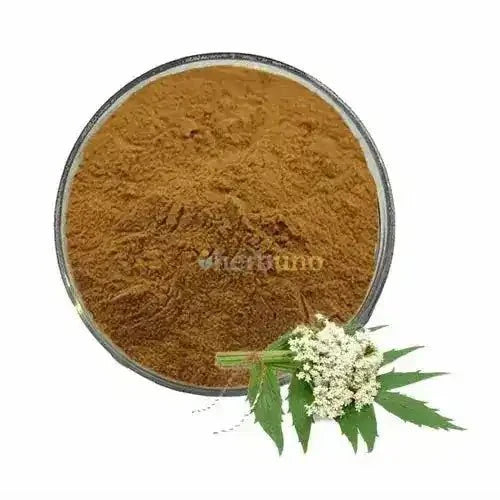 Valerian Root Extract Powder | Tagara - Bulk Supplier India