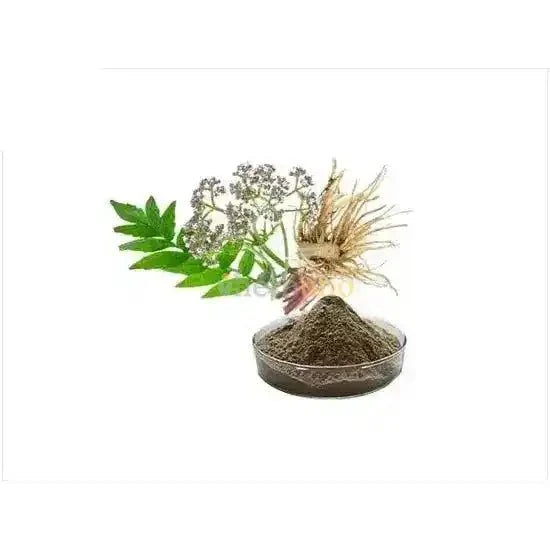 Valerian Root Extract Powder | Tagara - Bulk Supplier India