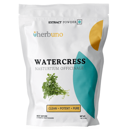 Watercress Extract Powder (Nasturtium officinale) - Bulk Supplier India