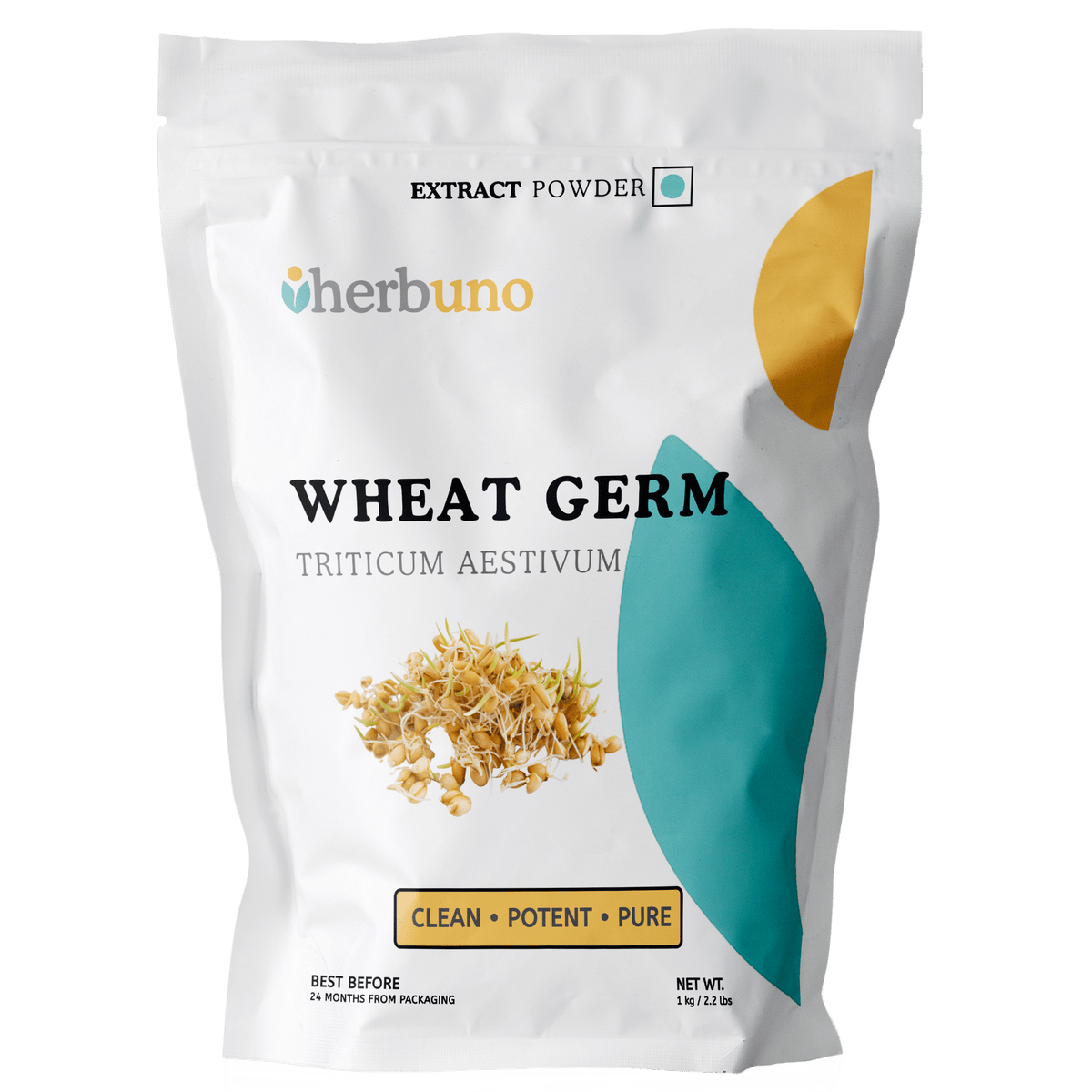 Wheat Germ Extract Powder | Gehun Ankur - Bulk Supplier India