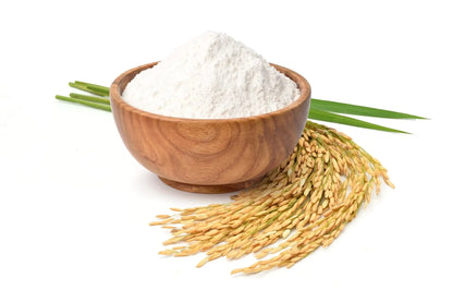 White Rice Powder - Oryza sativa  - Bulk Supplier India  - shop_name