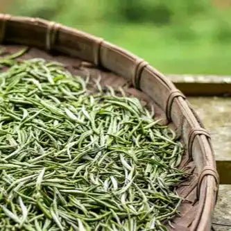 White Tea Extract Powder - Bulk Supplier India