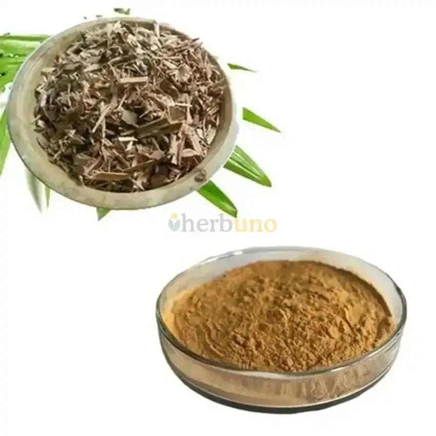 White Willow (Salix Alba) Extract Powder - Bulk Supplier India