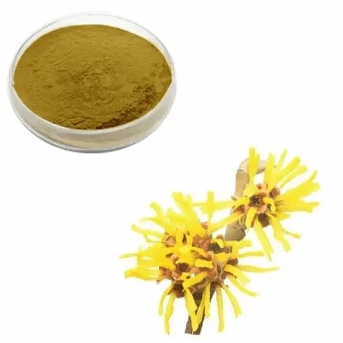 Witch Hazel Extract Powder - Bulk Supplier India