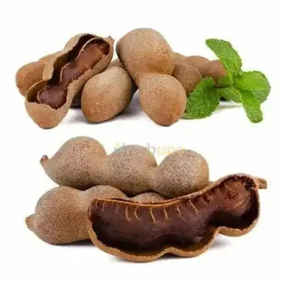 Spray Dried Tamarind Powder - Tangy Flavor Enhancer | Imli - Bulk Supplier India